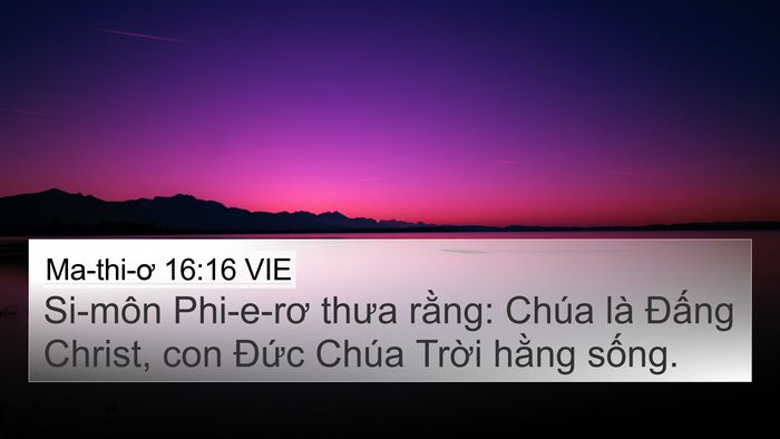 Ma-thi-ơ 16:16 VIE Bible Verse Image