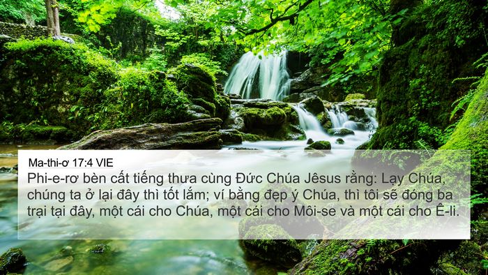 Ma-thi-ơ 17:4 VIE 4K Wallpaper - Phi-e-rơ bèn cất tiếng thưa cùng Đức - 4K Wallpaper Bible Verse