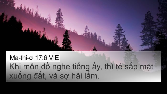Ma-thi-ơ 17:6 VIE Bible Verse Image
