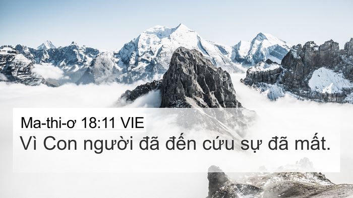Ma-thi-ơ 18:11 VIE 4K Wallpaper - Vì Con người đã đến cứu sự đã - 4K Wallpaper Bible Verse