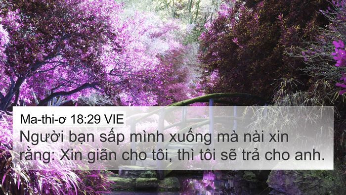 Ma-thi-ơ 18:29 VIE Bible Verse Image