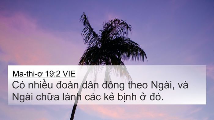 Ma-thi-ơ 19:2 VIE 4K Wallpaper - Có nhiều đoàn dân đông theo Ngài, và - 4K Wallpaper Bible Verse