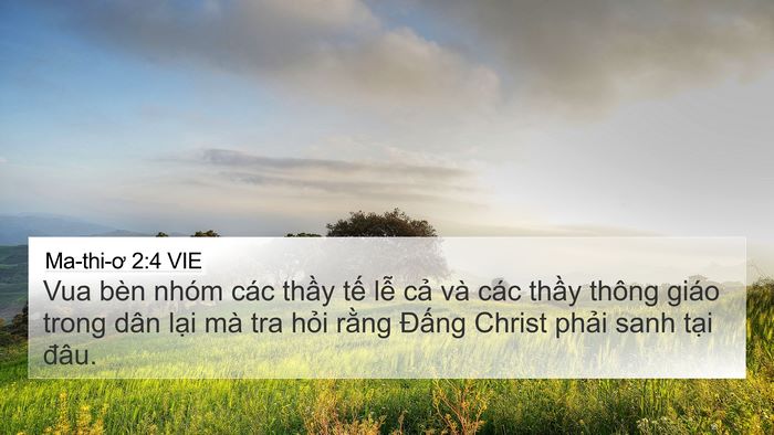 Ma-thi-ơ 2:4 VIE Bible Verse Image