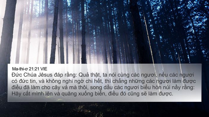 Ma-thi-ơ 21:21 VIE Bible Verse Image