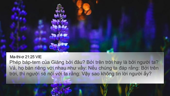 Ma-thi-ơ 21:25 VIE Bible Verse Image