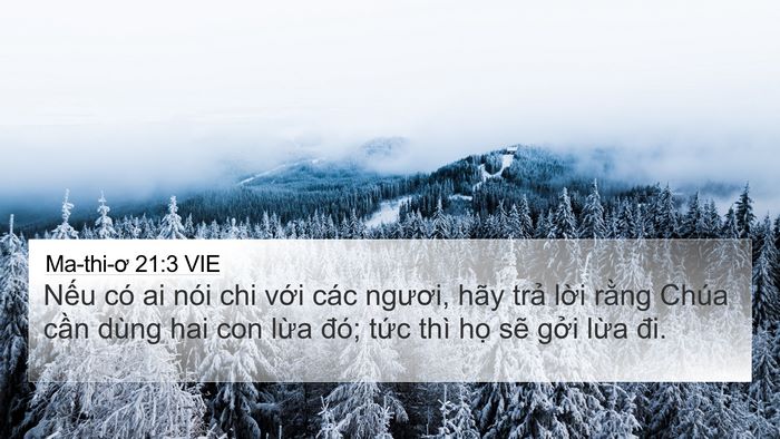Ma-thi-ơ 21:3 VIE 4K Wallpaper - Nếu có ai nói chi với các ngươi, hãy - 4K Wallpaper Bible Verse