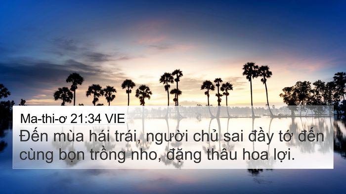 Ma-thi-ơ 21:34 VIE Bible Verse Image