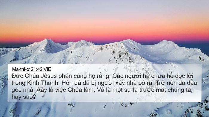 Ma-thi-ơ 21:42 VIE Bible Verse Image