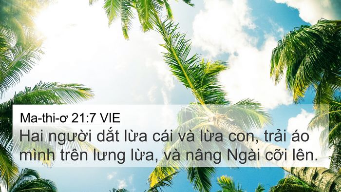 Ma-thi-ơ 21:7 VIE 4K Wallpaper - Hai người dắt lừa cái và lừa con, - 4K Wallpaper Bible Verse
