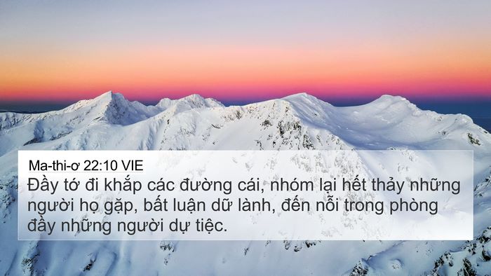 Ma-thi-ơ 22:10 VIE Bible Verse Image