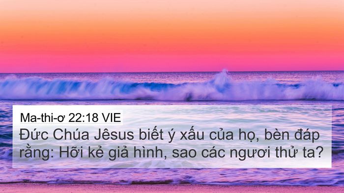 Ma-thi-ơ 22:18 VIE Bible Verse Image