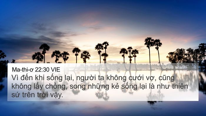 Ma-thi-ơ 22:30 VIE Bible Verse Image