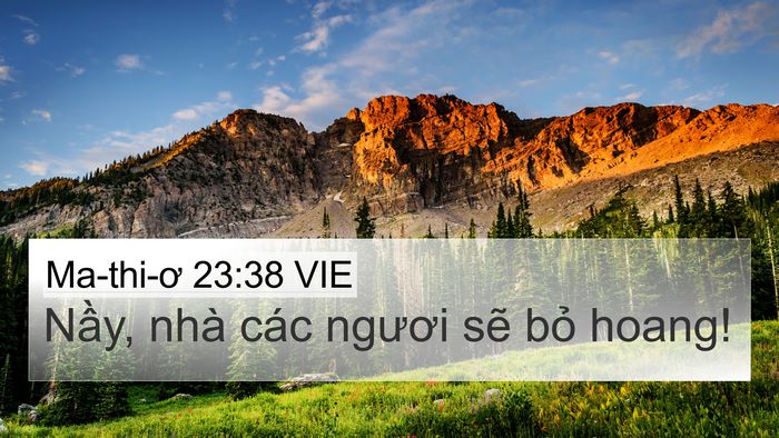 Ma-thi-ơ 23:38 VIE Bible Verse Image