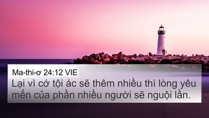 Ma-thi-ơ 24:12 VIE Bible Verse Image