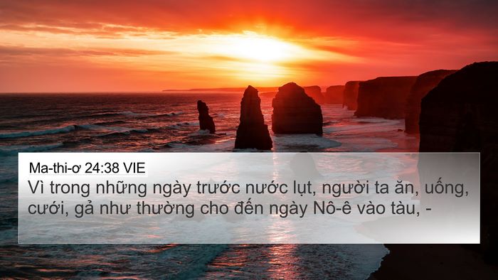 Ma-thi-ơ 24:38 VIE Bible Verse Image