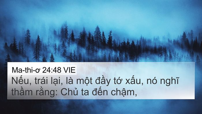 Ma-thi-ơ 24:48 VIE Bible Verse Image