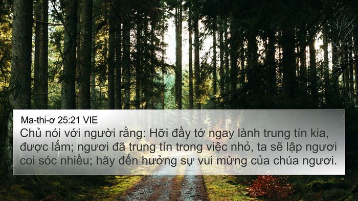 Ma-thi-ơ 25:21 VIE Bible Verse Image