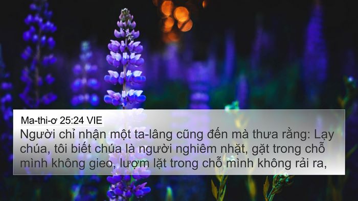Ma-thi-ơ 25:24 VIE Bible Verse Image