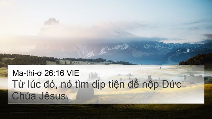 Ma-thi-ơ 26:16 VIE Bible Verse Image