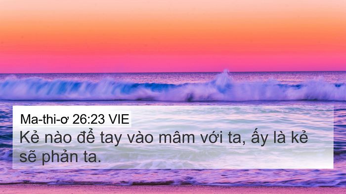 Ma-thi-ơ 26:23 VIE Bible Verse Image