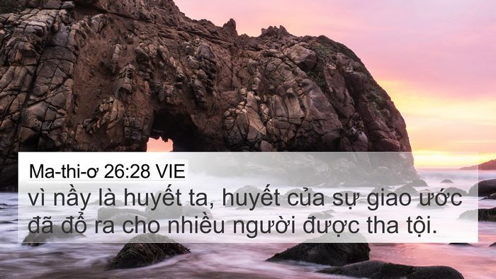 Ma-thi-ơ 26:28 VIE Bible Verse Image