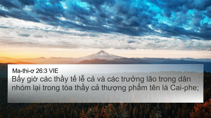 Ma-thi-ơ 26:3 VIE Bible Verse Image