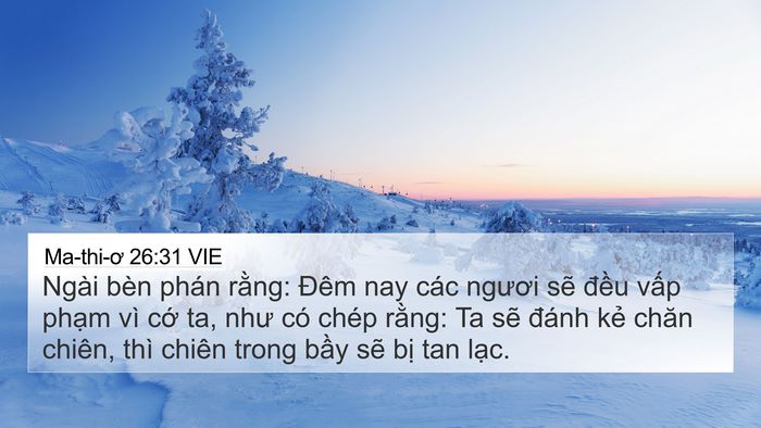 Ma-thi-ơ 26:31 VIE Bible Verse Image