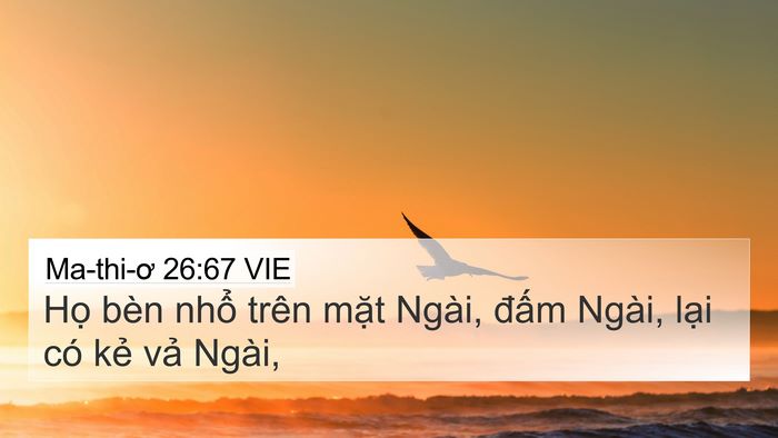 Ma-thi-ơ 26:67 VIE 4K Wallpaper - Họ bèn nhổ trên mặt Ngài, đấm Ngài, - 4K Wallpaper Bible Verse