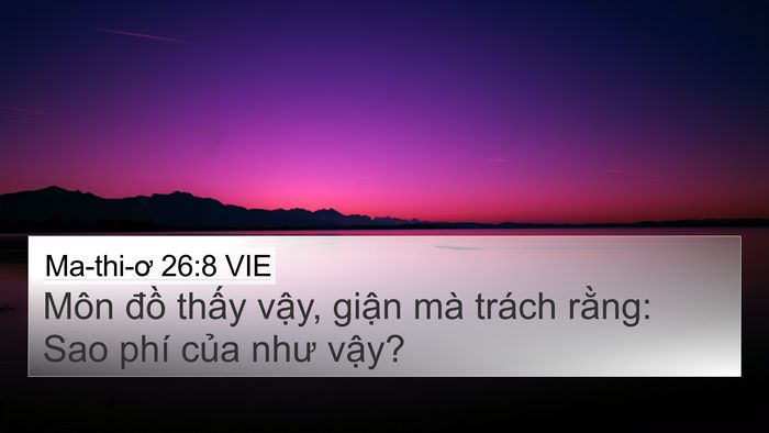 Ma-thi-ơ 26:8 VIE 4K Wallpaper - Môn đồ thấy vậy, giận mà trách - 4K Wallpaper Bible Verse