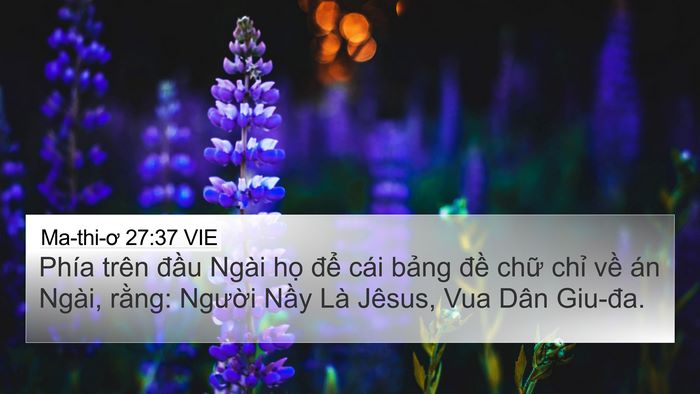 Ma-thi-ơ 27:37 VIE Bible Verse Image