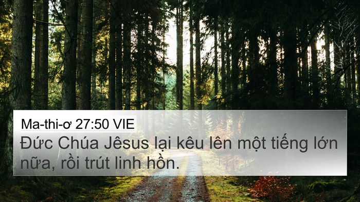 Ma-thi-ơ 27:50 VIE 4K Wallpaper - Đức Chúa Jêsus lại kêu lên một tiếng - 4K Wallpaper Bible Verse