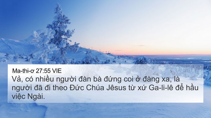 Ma-thi-ơ 27:55 VIE Bible Verse Image