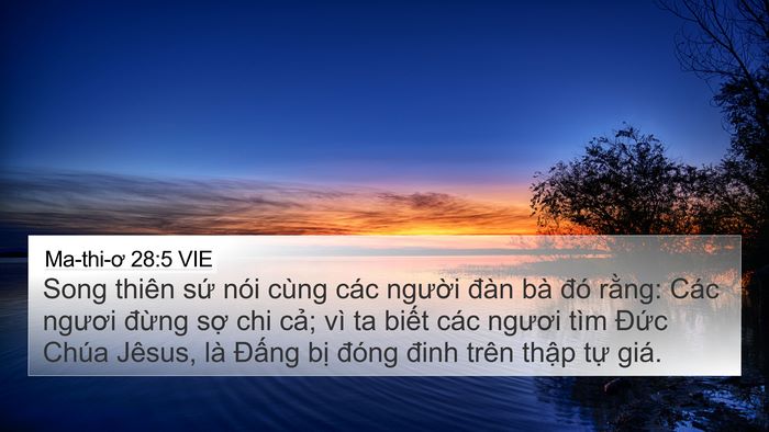 Ma-thi-ơ 28:5 VIE Bible Verse Image