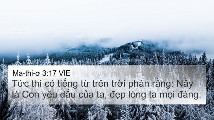 Ma-thi-ơ 3:17 VIE Bible Verse Image