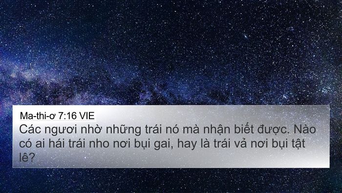 Ma-thi-ơ 7:16 VIE Bible Verse Image