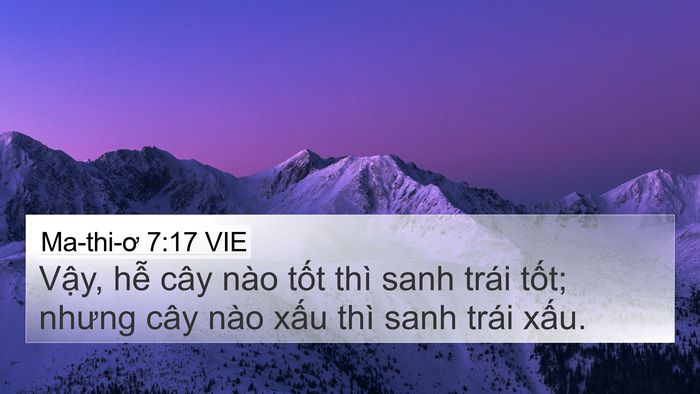 Ma-thi-ơ 7:17 VIE 4K Wallpaper - Vậy, hễ cây nào tốt thì sanh trái - 4K Wallpaper Bible Verse