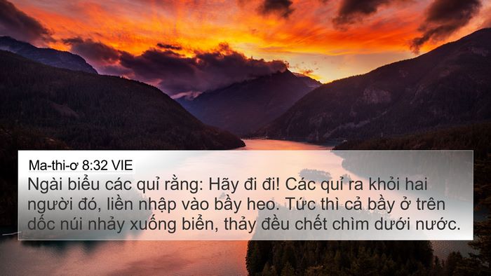 Ma-thi-ơ 8:32 VIE 4K Wallpaper - Ngài biểu các quỉ rằng: Hãy đi đi! - 4K Wallpaper Bible Verse