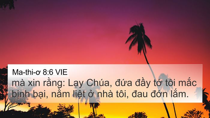 Ma-thi-ơ 8:6 VIE Bible Verse Image