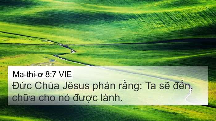 Ma-thi-ơ 8:7 VIE Bible Verse Image