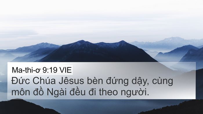 Ma-thi-ơ 9:19 VIE 4K Wallpaper - Đức Chúa Jêsus bèn đứng dậy, cùng - 4K Wallpaper Bible Verse