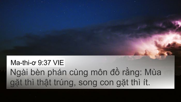 Ma-thi-ơ 9:37 VIE Bible Verse Image