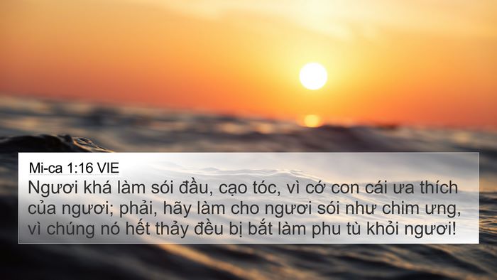 Mi-ca 1:16 VIE Bible Verse Image
