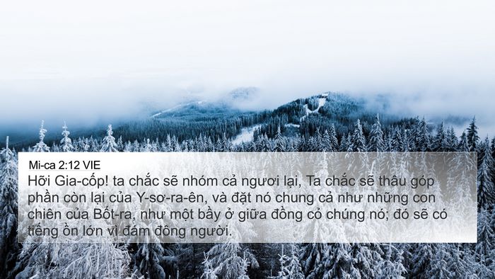 Mi-ca 2:12 VIE Bible Verse Image