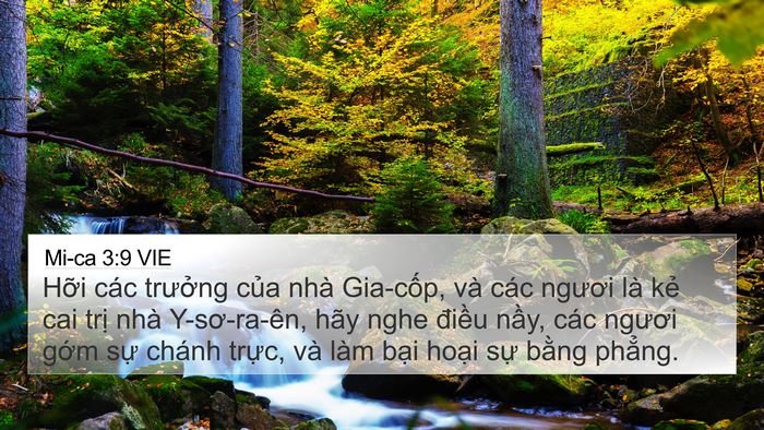 Mi-ca 3:9 VIE Bible Verse Image