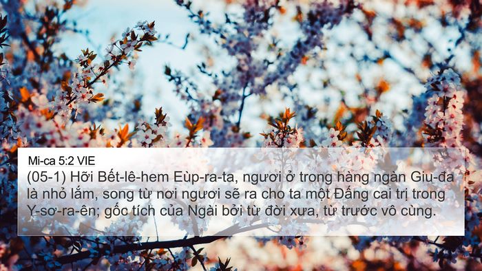 Mi-ca 5:2 VIE Bible Verse Image