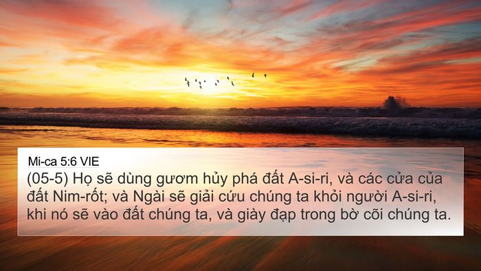 Mi-ca 5:6 VIE Bible Verse Image