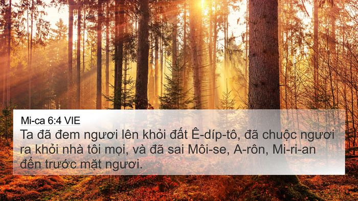 Mi-ca 6:4 VIE Bible Verse Image