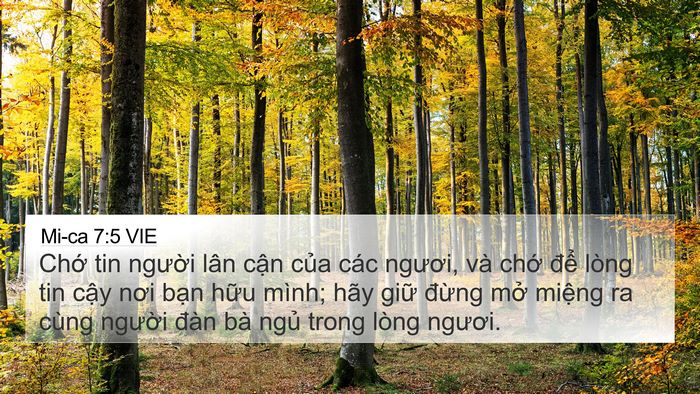 Mi-ca 7:5 VIE Bible Verse Image