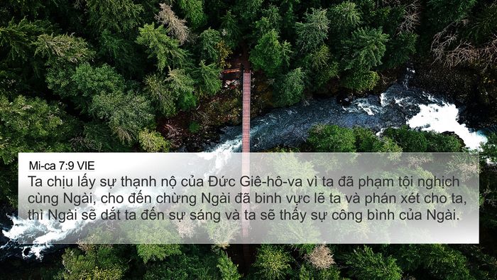 Mi-ca 7:9 VIE Bible Verse Image