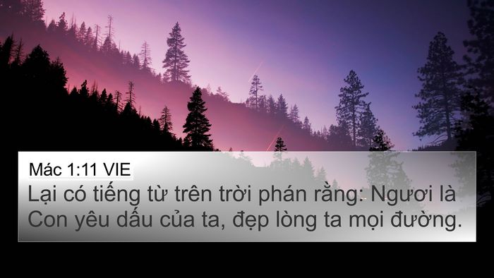 Mác 1:11 VIE Bible Verse Image